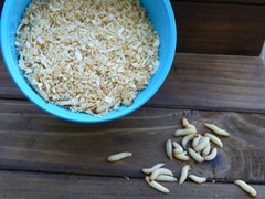 Wax Worms 
(250 count)
(36 Count)
40 or 60 in a case
Holding Temperature: 55-60 degrees